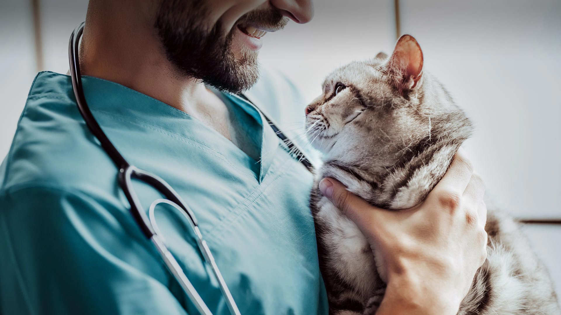 Çamlıdere Veteriner